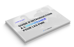 livre blanc guide info