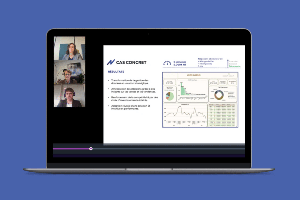 extrait-de-la-webconference-BI